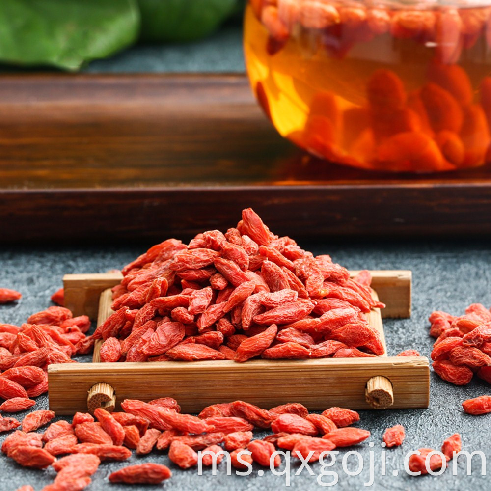 Goji Berry for Health